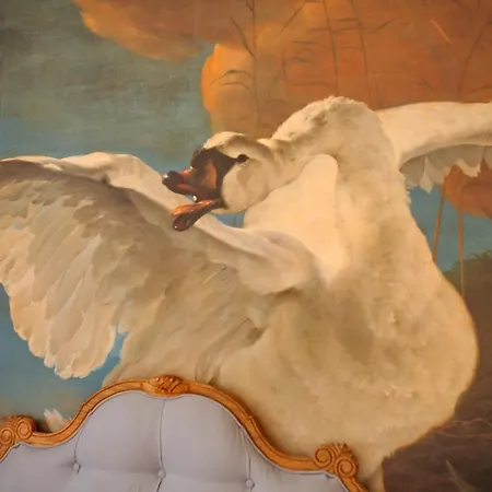 Weisses Ross Designhotel Отель