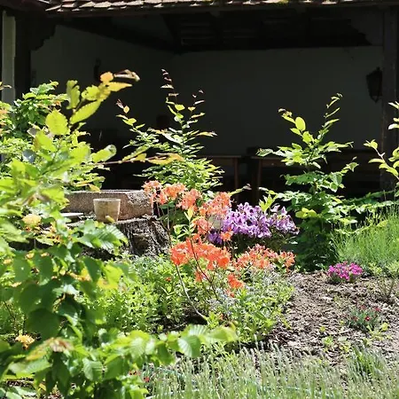 Weisses Ross Designhotel Отель