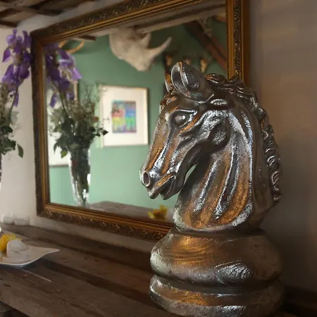 Weisses Ross Designhotel Кирхгаймболанден