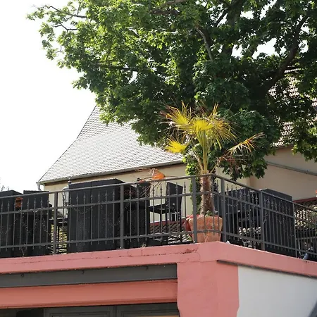 Отель Weisses Ross Designhotel Кирхгаймболанден