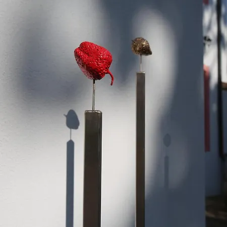 Отель Weisses Ross Designhotel