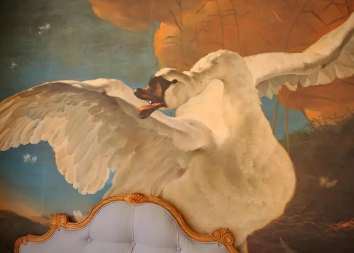 Weisses Ross Designhotel Hotel