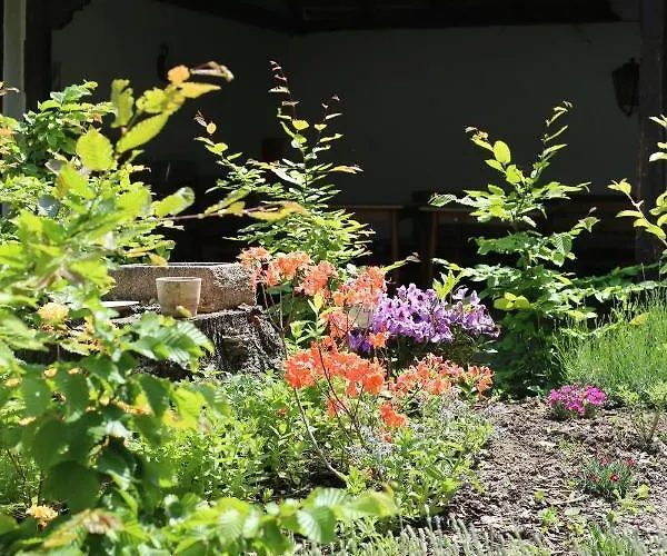 Weisses Ross Designhotel Hotel